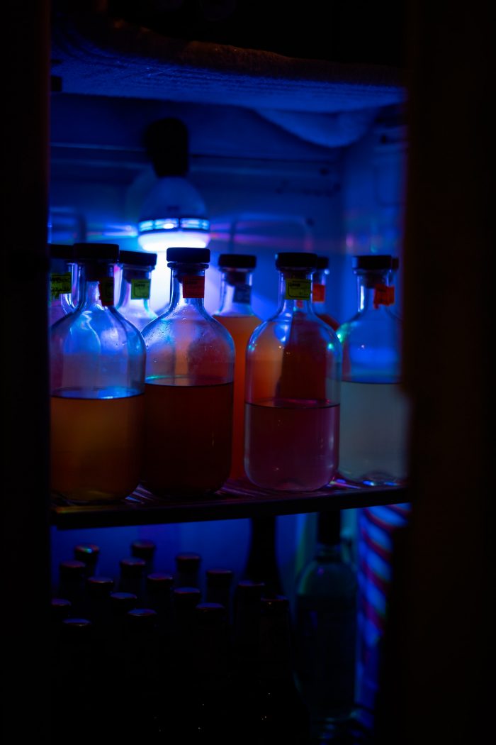 bottles kept in a freezer